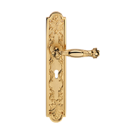 Queen Big Door Lever Handle on Plate Go